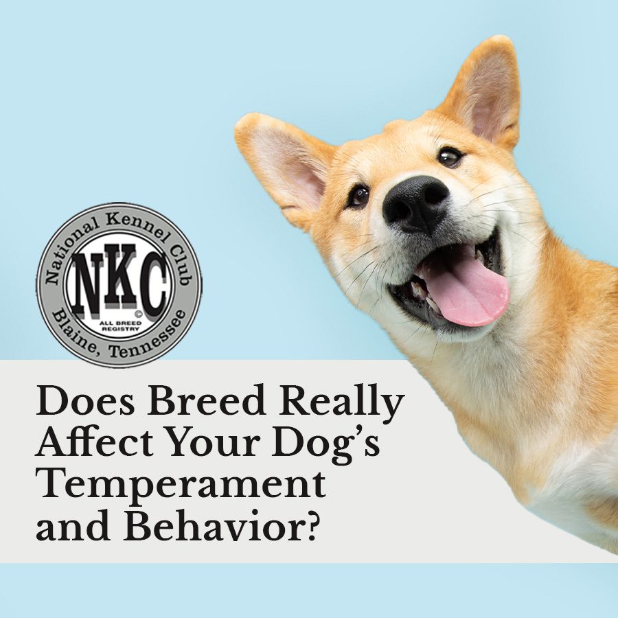 Does Breed Really Affect Your Dog’s Temperament and Behavior?