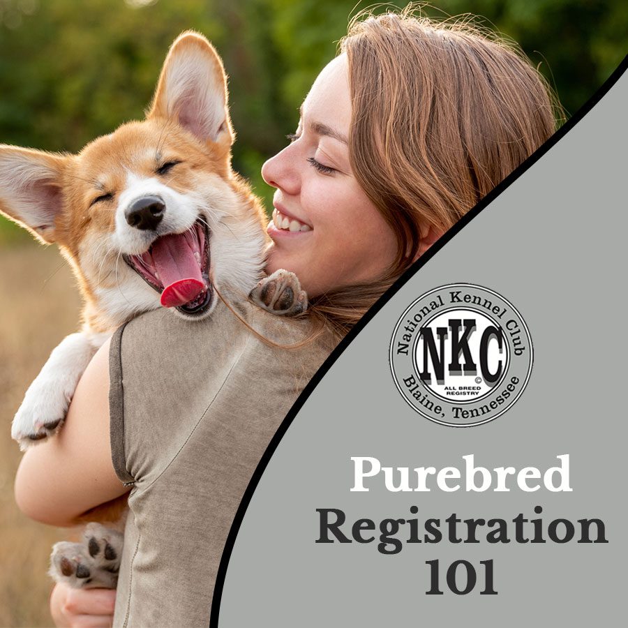 Purebred Registration 101