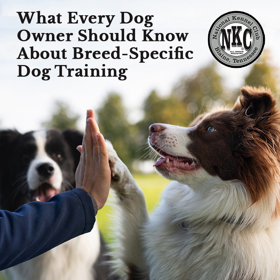 What Every Dog Owner Should Know About Breed-Specific Dog Training